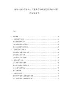 2025-2030中國(guó)云計(jì)算服務(wù)市場(chǎng)發(fā)展現(xiàn)狀與未來(lái)趨勢(shì)預(yù)測(cè)報(bào)告