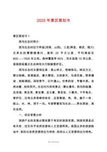 2025年景區策劃書