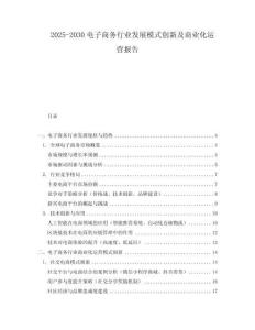 2025-2030電子商務行業發展模式創新及商業化運營報告