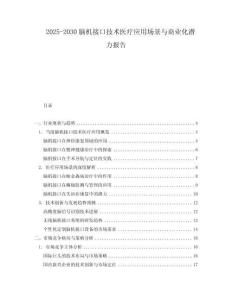 2025-2030腦機接口技術(shù)醫(yī)療應(yīng)用場景與商業(yè)化潛力報告
