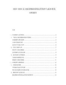 2025-2030無(wú)人配送物流系統(tǒng)運(yùn)營(yíng)效率與成本優(yōu)化分析報(bào)告