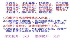 【美食烹飪技巧與菜譜】《雞蛋作文》講述