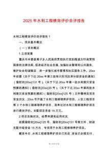 2025年水利工程績效評價自評報告