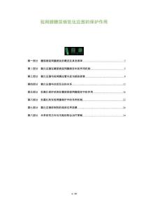 視網膜糖尿病氧化應激的保護作用-洞察及研究