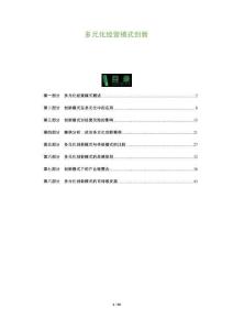 多元化經營模式創新-洞察及研究