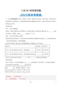 專題19 科學(xué)探究題（全國通用）（第02期）（解析版）【好題匯編】2025年中考化學(xué)真題分類匯編（全國通用）