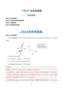 專題17 坐標(biāo)圖像題（全國通用）（第02期）（解析版）【好題匯編】2025年中考化學(xué)真題分類匯編（全國通用）