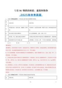 專題16 物質(zhì)的檢驗、鑒別和除雜（全國通用）（第02期）（解析版）【好題匯編】2025年中考化學(xué)真題分類匯編（全國通用）