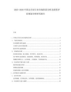 2025-2030中國太空站行業市場供需分析及投資評估規劃分析研究報告