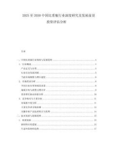 2025至2030中國(guó)比重瓶行業(yè)深度研究及發(fā)展前景投資評(píng)估分析