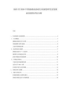2025至2030中國玻璃水晶磚行業(yè)深度研究及發(fā)展前景投資評估分析