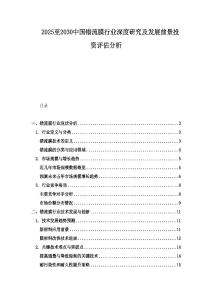 2025至2030中國錯流膜行業深度研究及發展前景投資評估分析