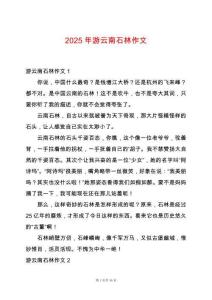 2025年游云南石林作文
