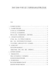 2025-2030中國五金工具跨境電商運(yùn)營模式比較