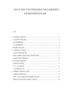 2025至2030中國可重復充裝打火機行業深度研究及發展前景投資評估分析