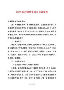 2025年村級財(cái)務(wù)審計(jì)自查報(bào)告