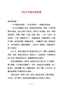 2025年根鳥讀后感