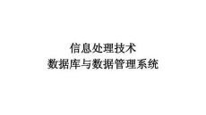 信息處理技術(shù)數(shù)據(jù)庫(kù)與數(shù)據(jù)管理系統(tǒng)