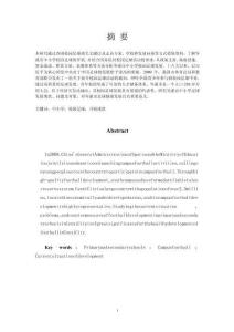 中小學足球運動開展現狀調查與對策研究