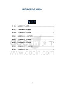 基因簇功能與代謝網絡-洞察及研究