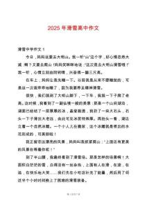 2025年滑雪高中作文