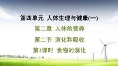 人教 七年級生物上冊  第四單元04-第二章 人體的營養-第二節 消化和吸收-第1課時 食物的消化