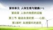 人教 七年級生物上冊  第四單元14-第四章 人體內物質的運輸-第三節 輸送血液的泵——心臟-第2課時 血液循環的途徑