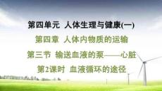 人教 七年級生物上冊  第四單元14-第四章 人體內物質的運輸-第三節 輸送血液的泵——心臟-第2課時 血液循環的途徑