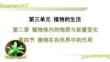 人教 七年級生物上冊 第三單元10-第二章 植物體內的物質與能量變化-第四節 植物在自然界中的作用