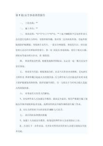 安全事故調查報告