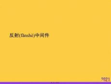 反射中間件推選優(yōu)秀ppt