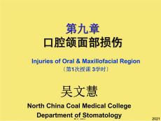 口腔頜面部損傷