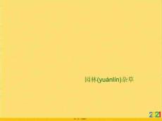 園林雜草優選ppt資料