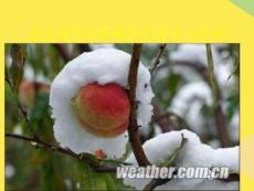 土肥水完整版資料