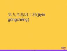 基因工程3優(yōu)選ppt資料