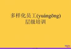 多樣化員工層級(jí)培訓(xùn)推選優(yōu)秀ppt
