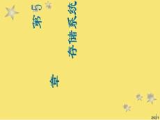 存儲(chǔ)系統(tǒng)PPT優(yōu)秀資料