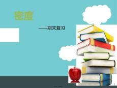 密度-期末復習(共27張PPT)