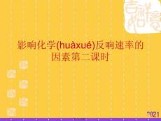 影響化學(xué)反應(yīng)速率的因素第二課時推選優(yōu)秀ppt