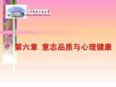 意志品質與心理健康完整版資料