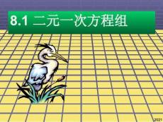 數學七年級下人教二元一次方程組完美版資料
