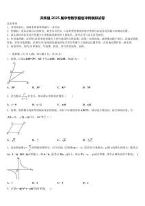 共和縣2025屆中考數(shù)學(xué)最后沖刺模擬試卷含解析