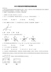 2025年普蘭店市中考數學適應性模擬試題含解析