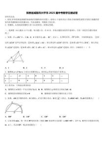 陜西省咸陽市興平市2025屆中考數學五模試卷含解析