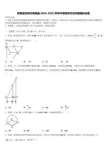 陜西省寶雞市鳳翔縣2024-2025學年中考數學對點突破模擬試卷含解析