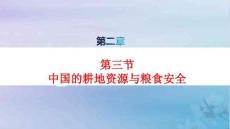新教材高中地理第2章第3節(jié)中國(guó)的耕地資源與糧食安全pptx課件新人教版選擇性必修3