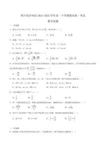 四川省瀘州市2024-2025學年高一下學期期末統一考試 數學含解析