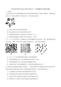 四川省瀘州市2024-2025學年高一下學期期末統一考試生物試卷（有答案）