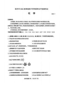山東省臨沂市2024-2025學(xué)年高一下學(xué)期期末學(xué)科素養(yǎng)水平檢測(cè)化學(xué)試題（含答案）