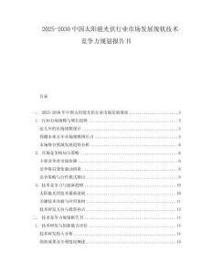 2025-2030中國太陽能光伏行業市場發展現狀技術競爭力規劃報告書